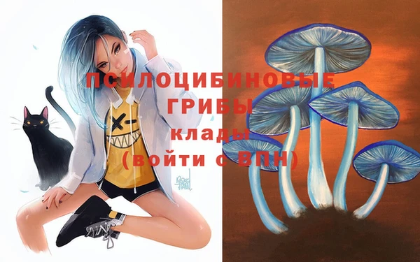 гашик Балабаново